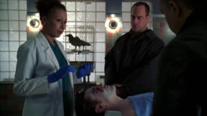 Law & Order: Special Victims Unit 8. Sezon 17. Bölüm