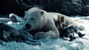His Dark Materials 1. Sezon 5. Bölüm