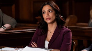 Law & Order 23. Sezon 13. Bölüm