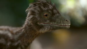 Dinozorlar 1. Sezon 1. Bölüm